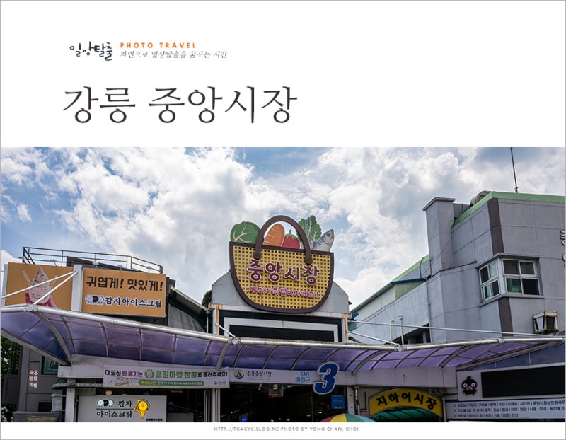 강릉 중앙시장 먹거리 회포장 닭강정
