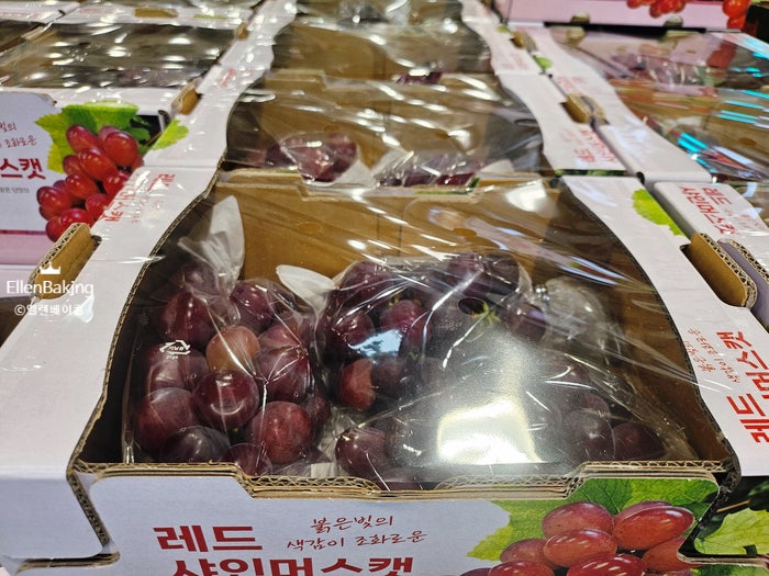 2026 코스트코 추석 과일선물세트 추천 리스트 및 할인행사 가격비교