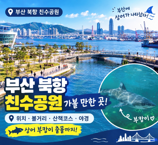 부산 상어 출몰, 3.5m ‘부캉이’는 왜 북항에 나타났을까?