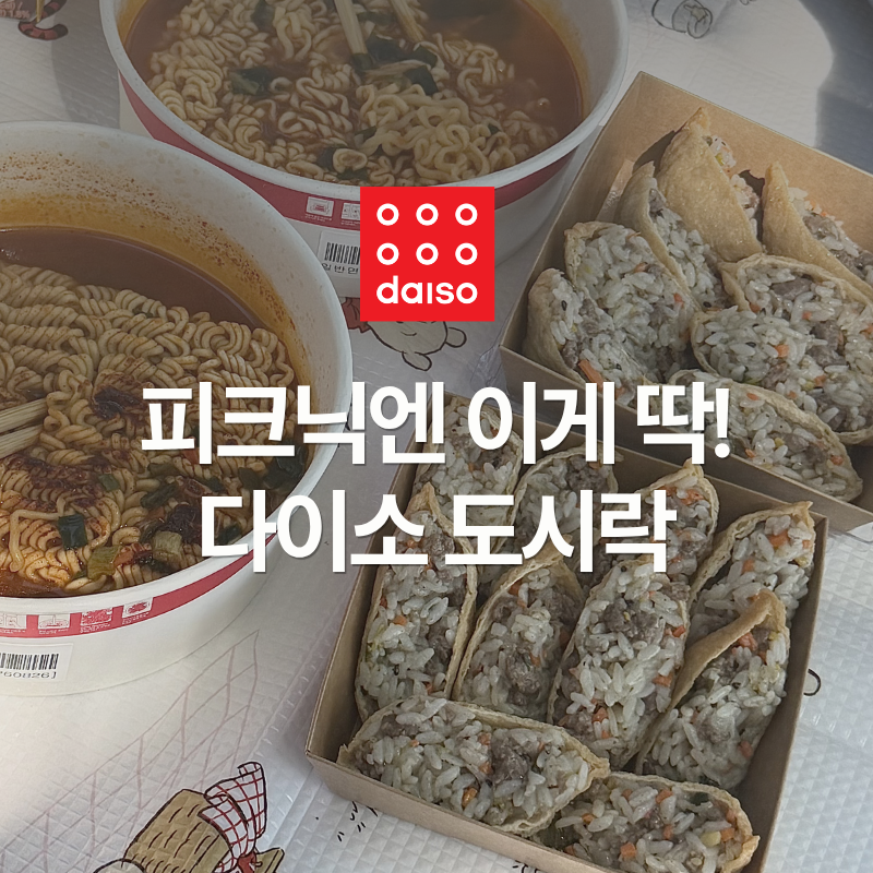 다이소 도시락 추천 피크닉 갈 때 이걸로 고른 이유