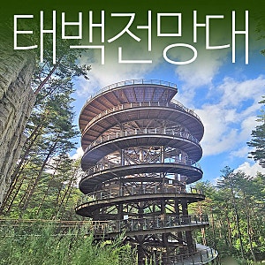 강원도 태백 가볼만한곳 태백산 국립공원 하늘전망대 가는법 산책시간