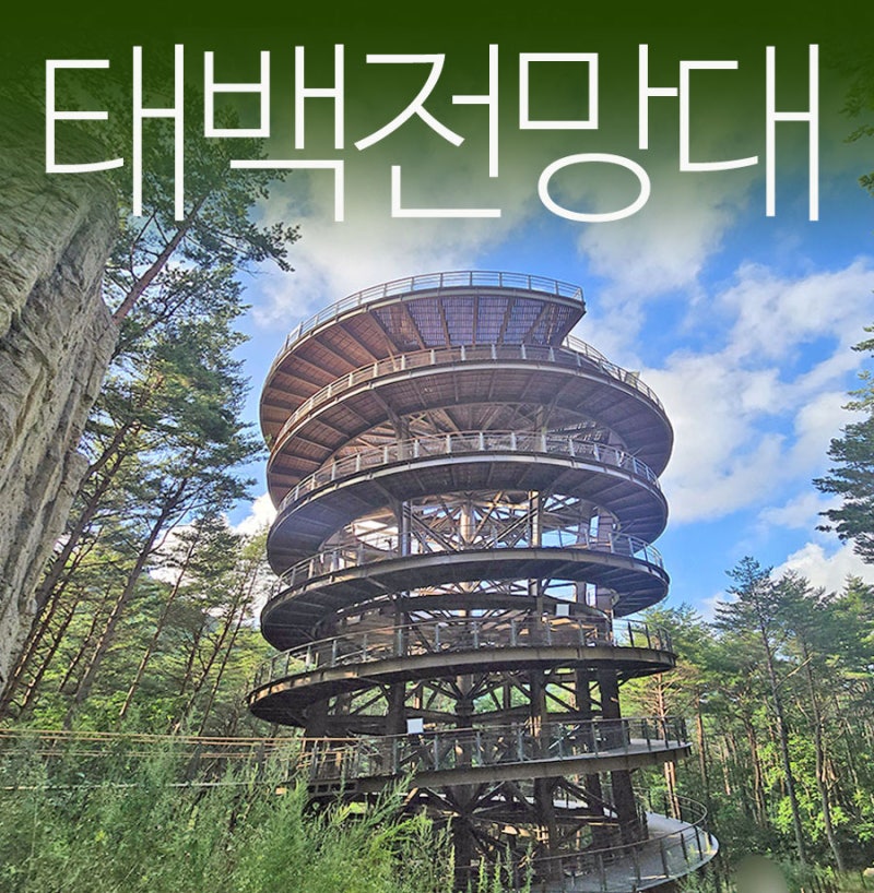 강원도 태백 가볼만한곳 태백산 국립공원 하늘전망대 가는법 산책시간