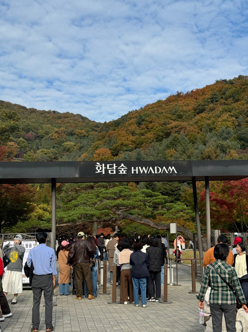 화담숲 가을 단풍 후기, 모노레일 없이 걸어본 11월 화담숲｜2년 연속 다녀온 예매·주차 팁