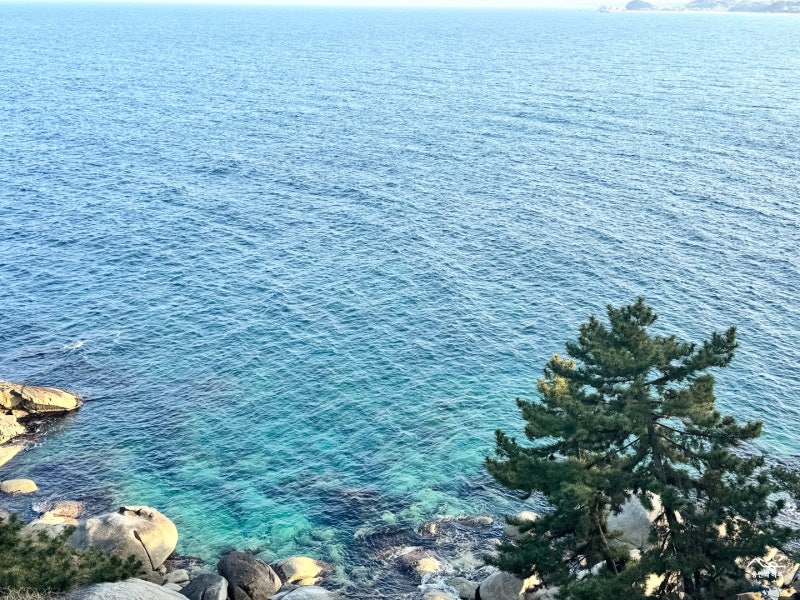 양양 죽도해변 근처 가볼 만한 곳｜죽도정부터 휴휴암까지 여행코스
