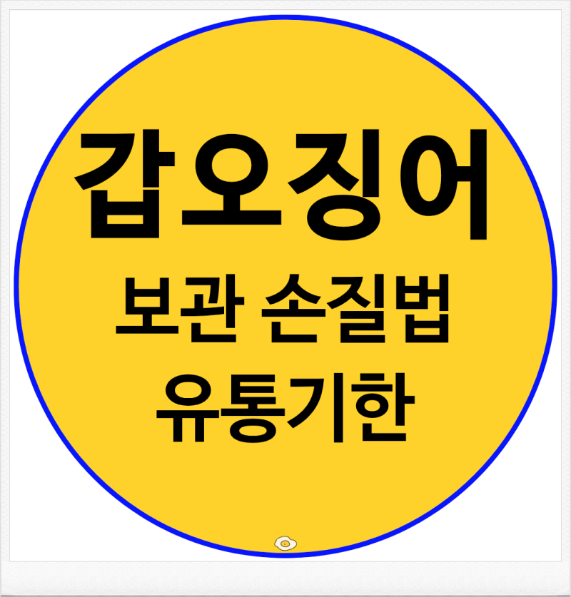 갑오징어 먹는법 보관법 손질법 유통기한 총정리