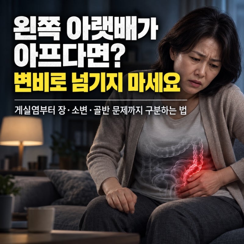 왼쪽 아랫배가 아프다면? 변비로 넘기지 마세요.게실염부터 장·소변·골반 문제까지 구분하....