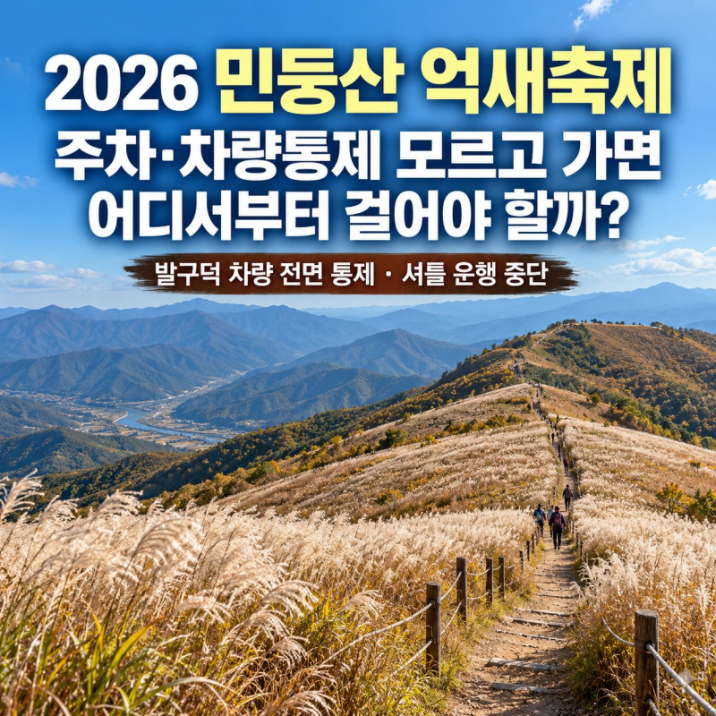 2026 민둥산 억새축제, 주차·차량통제 모르고 가면 어디서부터 걸어야 할까?