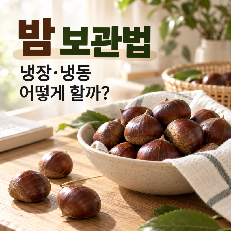 밤 보관법, 냉장·냉동 어떻게 해야 오래갈까?