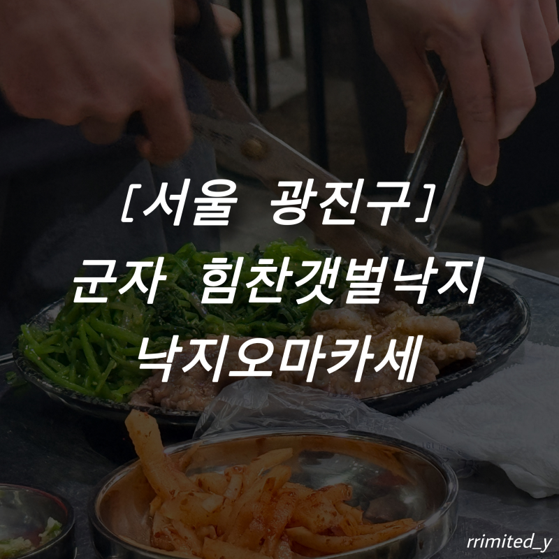 힘찬갯벌낙지, 군자 맛집 낙지오마카세