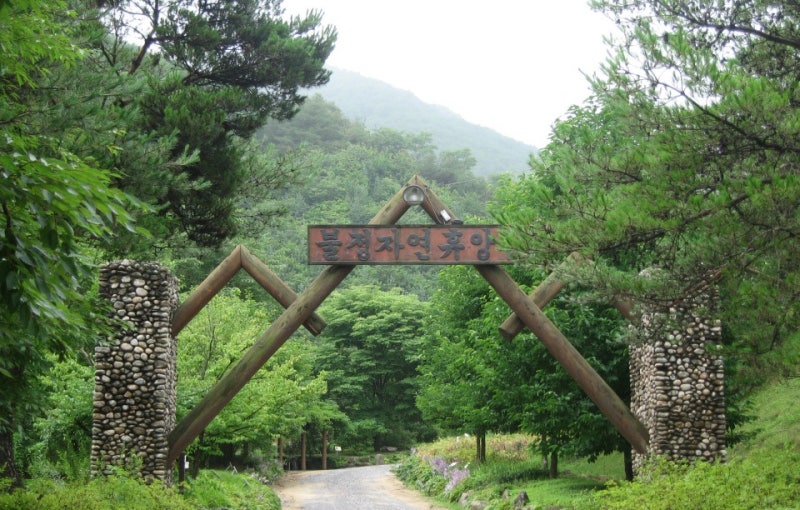 문경 불정자연휴양림 예약방법 총정리, 짚라인 놓치면 못 탑니다