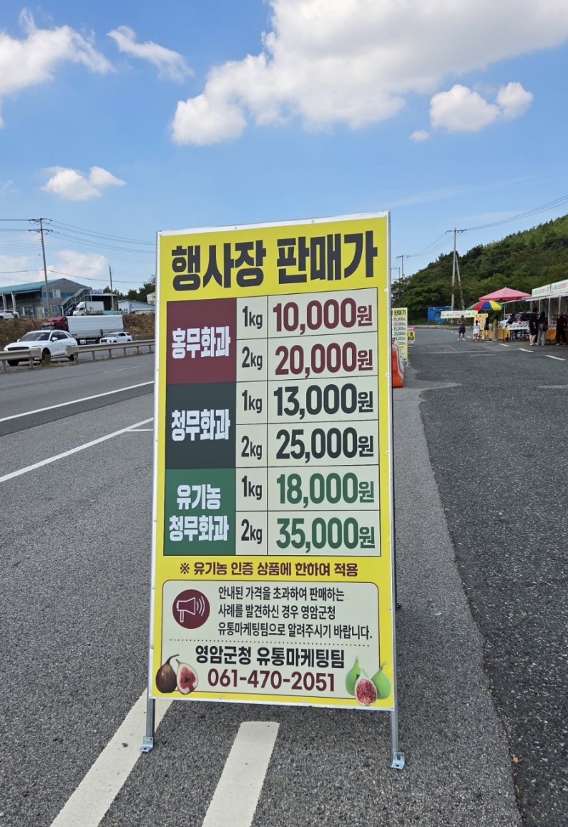 [2026 목포여행] 2026 영암 무화과 파는 곳 무화과 직거래 판매장 가격 영암 목포 무화과 후기