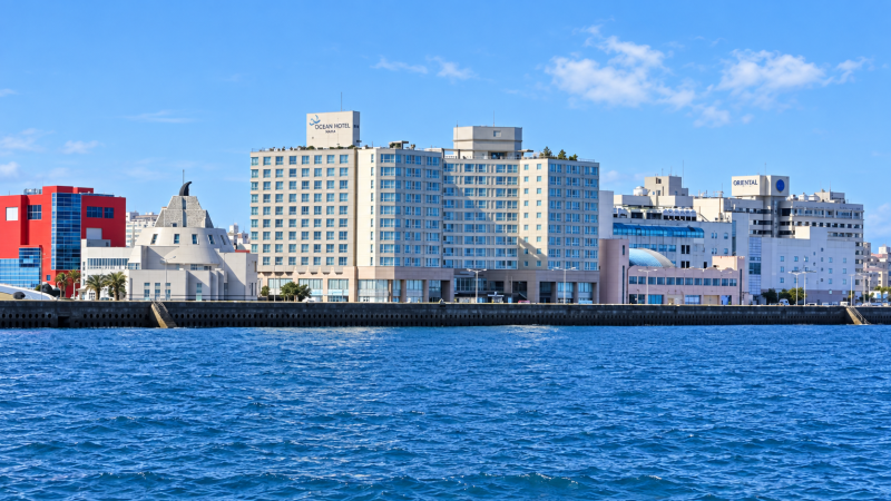 Recommended Hotels Near Jeju Airport: Oceansuite Accommodation Sale Festa Discount Tips