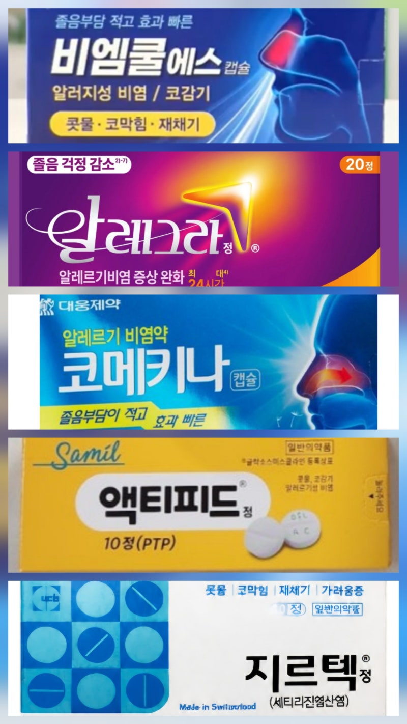 환절기 비염약 추천 TOP 5 총정리! 콧물·코막힘 증상별 맞춤 약 고르는 법