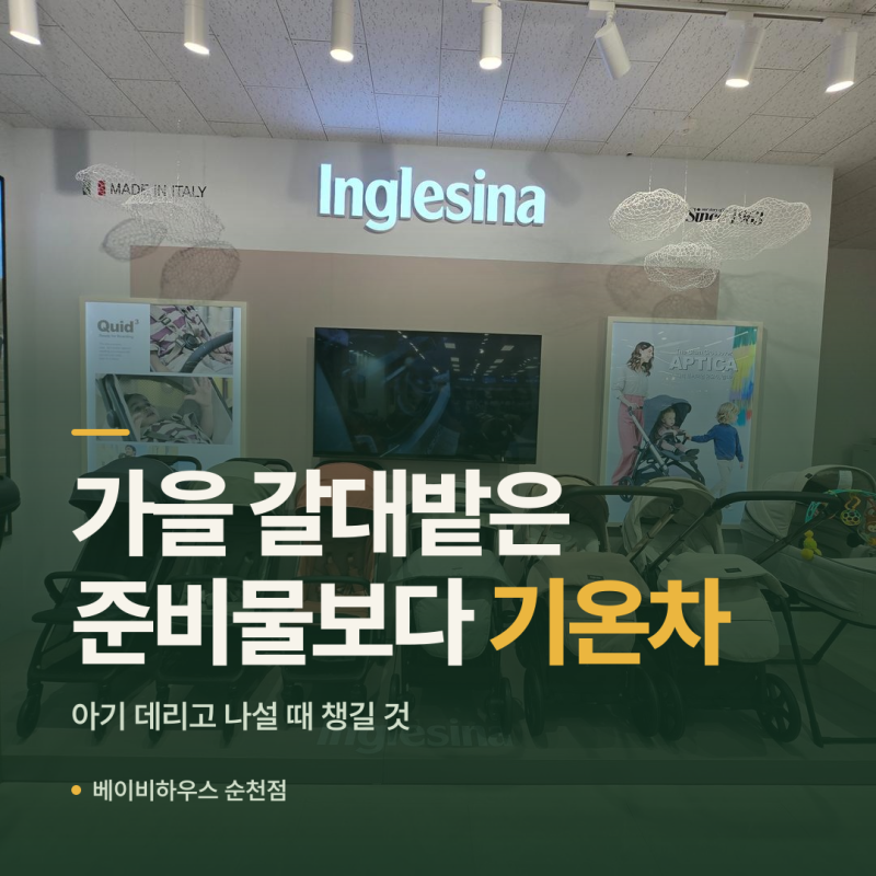 순천만 갈대밭 보러 가시는 부모님, 아기 데리고 갈 때 이것만 챙기세요