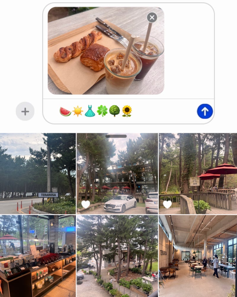 강릉 카페 테라로사 사천해변점｜애견동반 커피 한잔하러 다녀온 강릉 커피 맛집