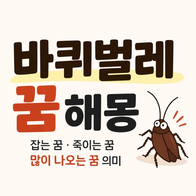 바퀴벌레 꿈 해몽 잡는 꿈 죽이는 꿈 많이 나오는 꿈 의미