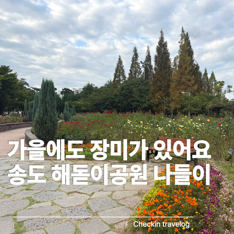 송도 해돋이공원｜가을 장미 보고 아이랑 그늘막 피크닉하기 좋은 곳