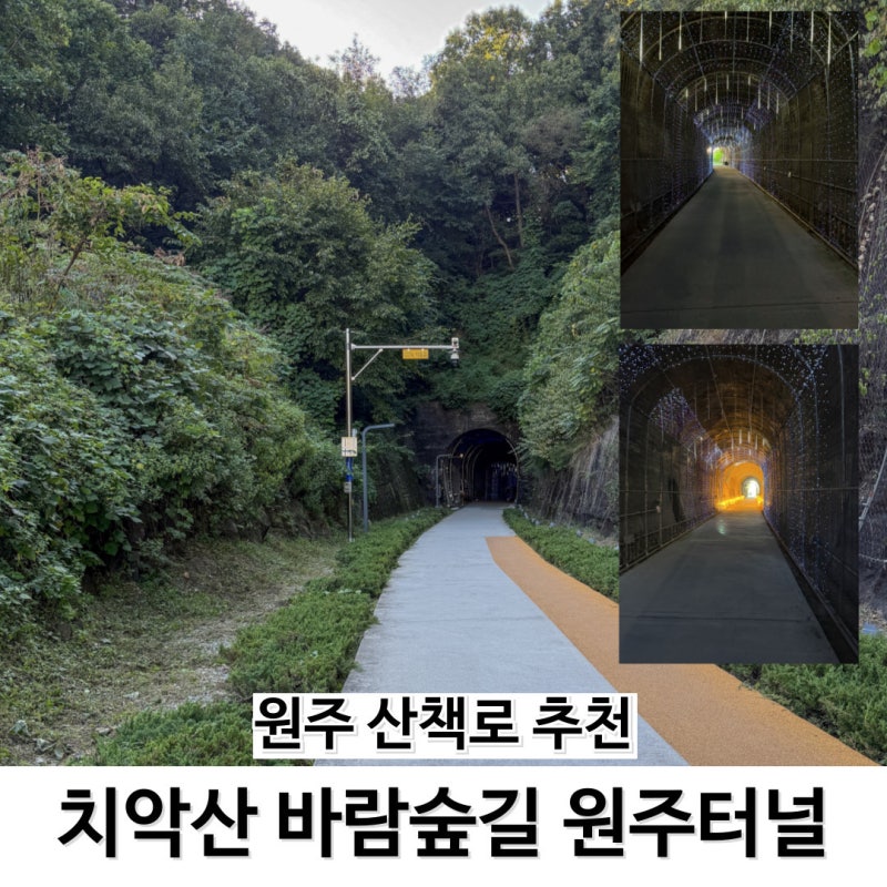 원주 산책로 추천 치악산바람숲길 원주터널 최단거리 주차장 소요시간