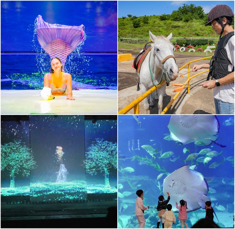 제주 동쪽 가볼만한곳 제주도 아이랑 놀거리 제주투어패스