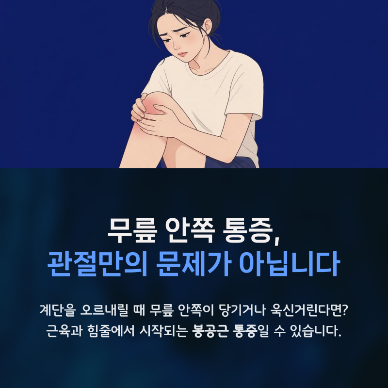 봉공근 통증, 무릎 안쪽이 아픈 이유와 거위발건의 관계