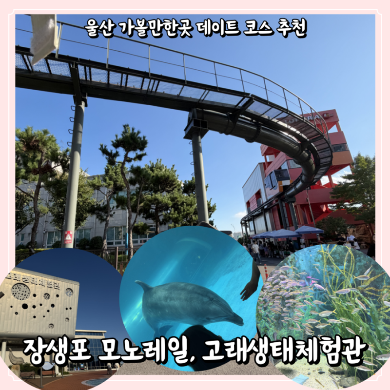 울산 가볼만한곳 데이트 코스 추천 : 장생포 모노레일 & 고래생태체험관