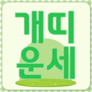 개띠 운세 2026년 연도별 사주 흐름 및 놓치면 후회하는 월별 리스크 관리 방법 3가지