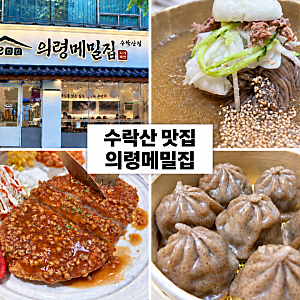 [서울] 수락산역 맛집 의령메밀집 수락산점 냉소바 메밀돈까스