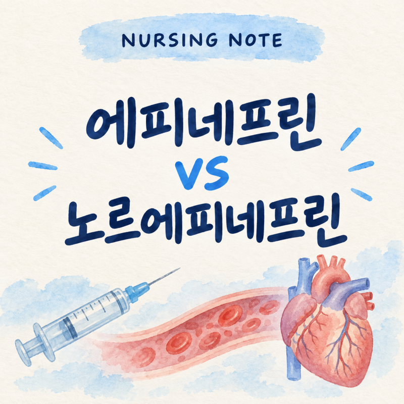 [임상 속 궁금증] 에피네프린과 노르에피네프린, 왜 임상에서는 다르게 쓸까?