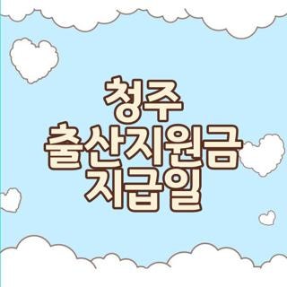 청주 출산지원금 지급일 자격요건 신청방법 한눈에, 모르면 손해보는 실제 후기