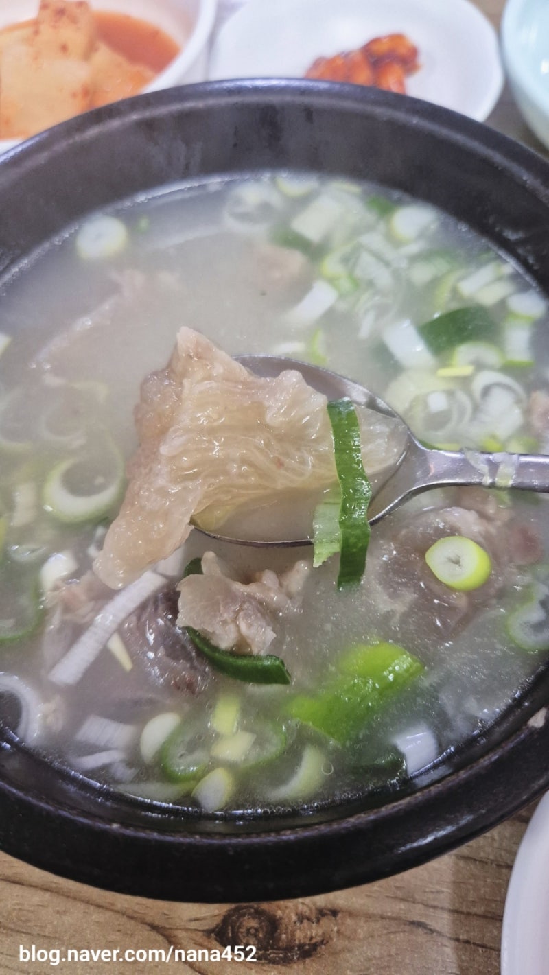 서울 도가니탕 맛집 대성집 독립문 노포 식당 웨이팅 없이 혼밥 후기