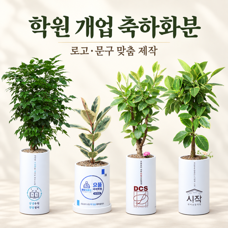 청주 학원 개업 축하 화분 국어 수학 영어 학원 등 개원 선물 로고·문구 [ 심플 디자인]