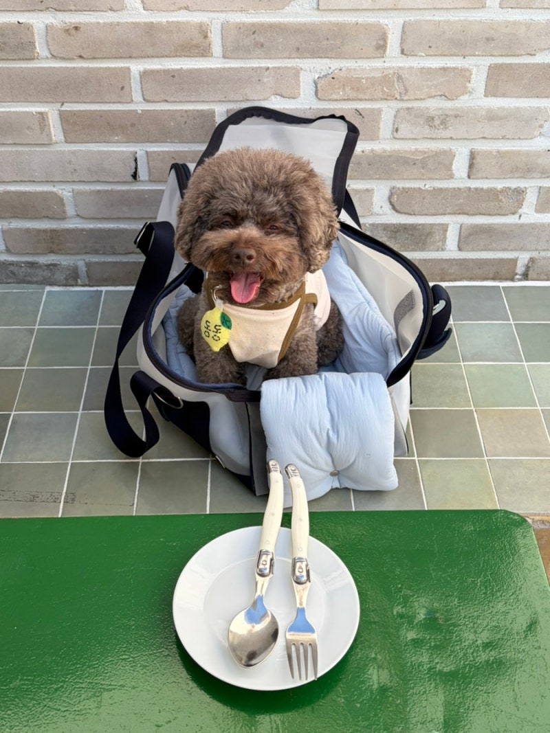 부산 하단 애견동반 브런치 카페 추천 | 그랑비