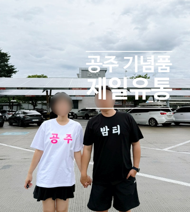 공주 기념품 추천 산성시장 제일유통 밤티 가격 디자인 구매 후기