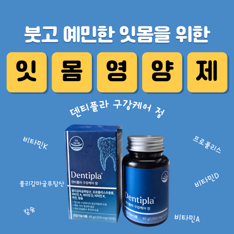 잇몸영양제 덴티플라 구강케어 정│붓고 예민한 잇몸 때문에 챙긴 후기