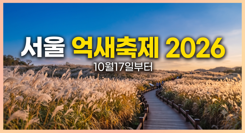 서울 가볼만한곳 하늘공원 억새축제 2026｜일정·맹꽁이열차·주차·노을·야경