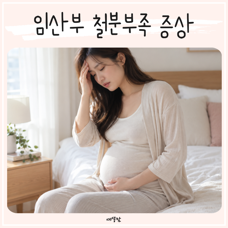 임산부 철분부족 증상 알아보기 철분제 복용시기와 보건소 지원까지
