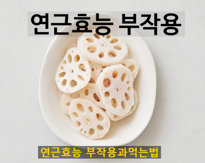 연근 효능 부작용 모르고 먹을때 생길수있는 증상과 연근 제대로 먹는법