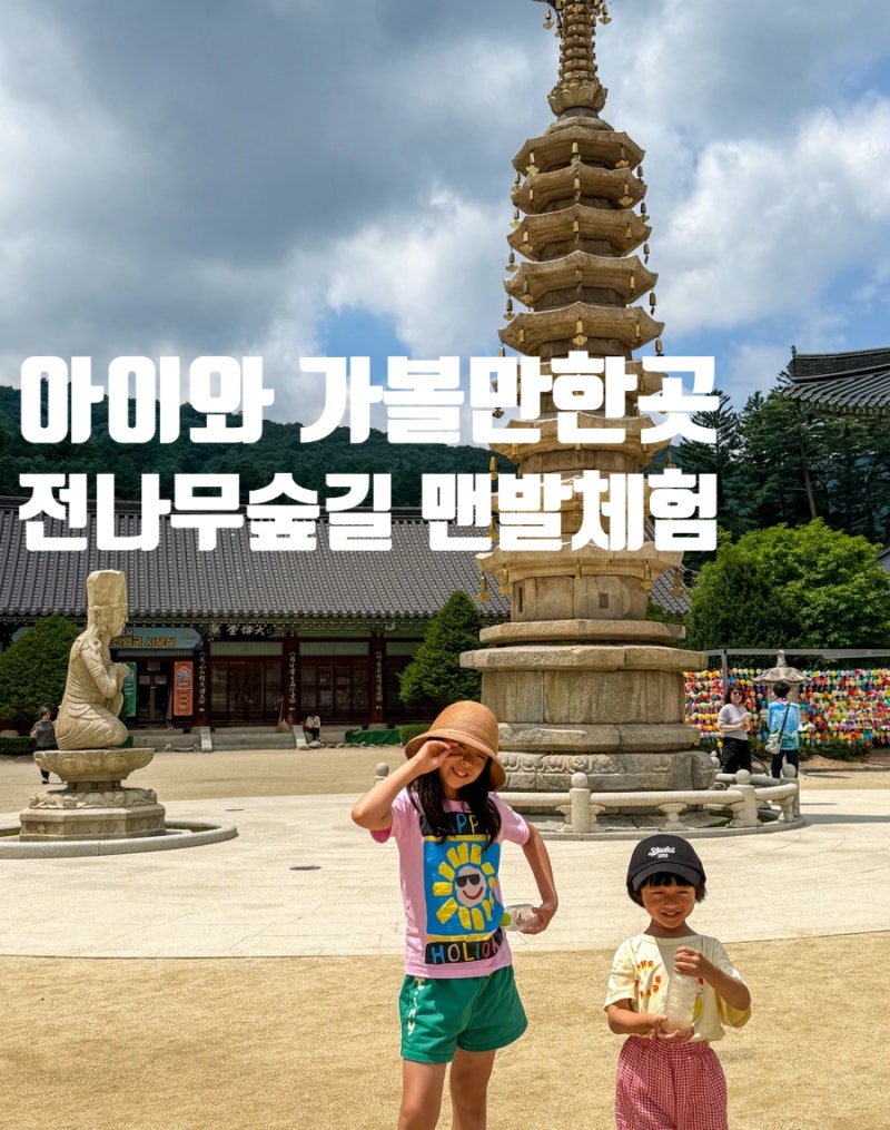 평창 아이와 가볼만한 곳 :: 오대산 월정사 전나무숲길 맨발걷기