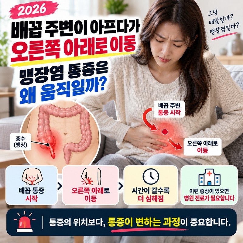 배꼽 주변이 아프다가 오른쪽 아래로 이동｜맹장염 통증은 왜 움직일까