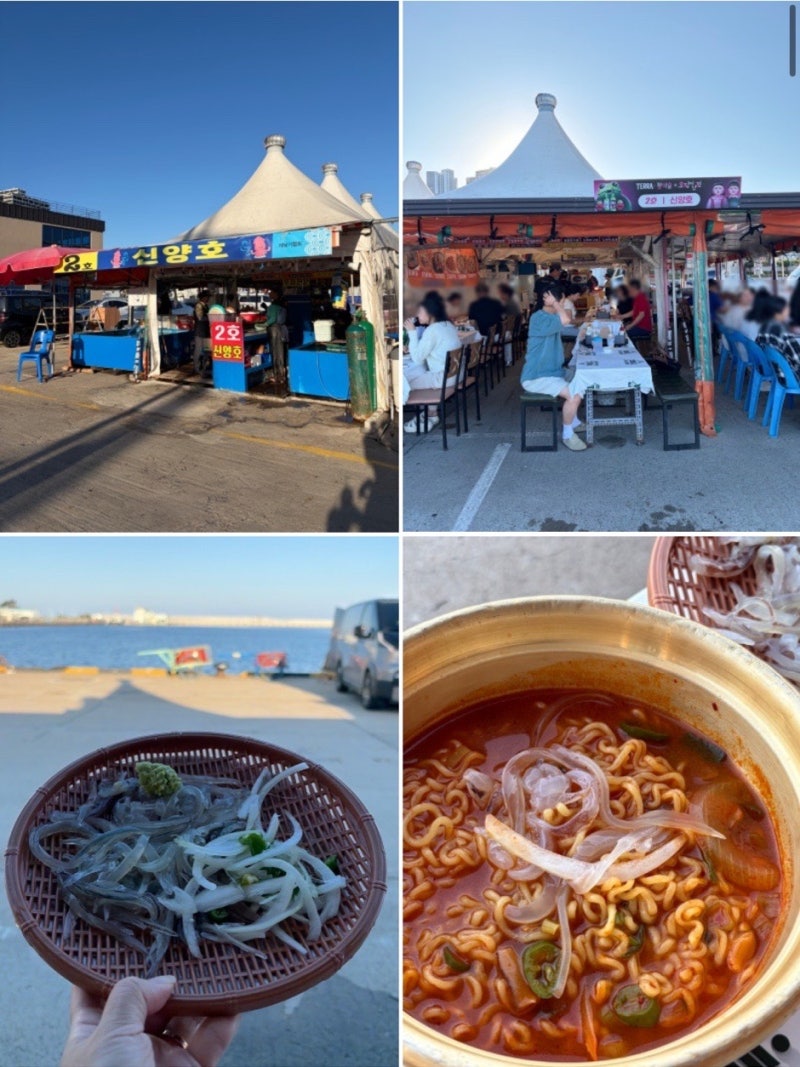 Sokcho Dongmyeong Port Squid Market: Prices and Opening Hours - Recommended Review of "No. 2 Shinyangho"