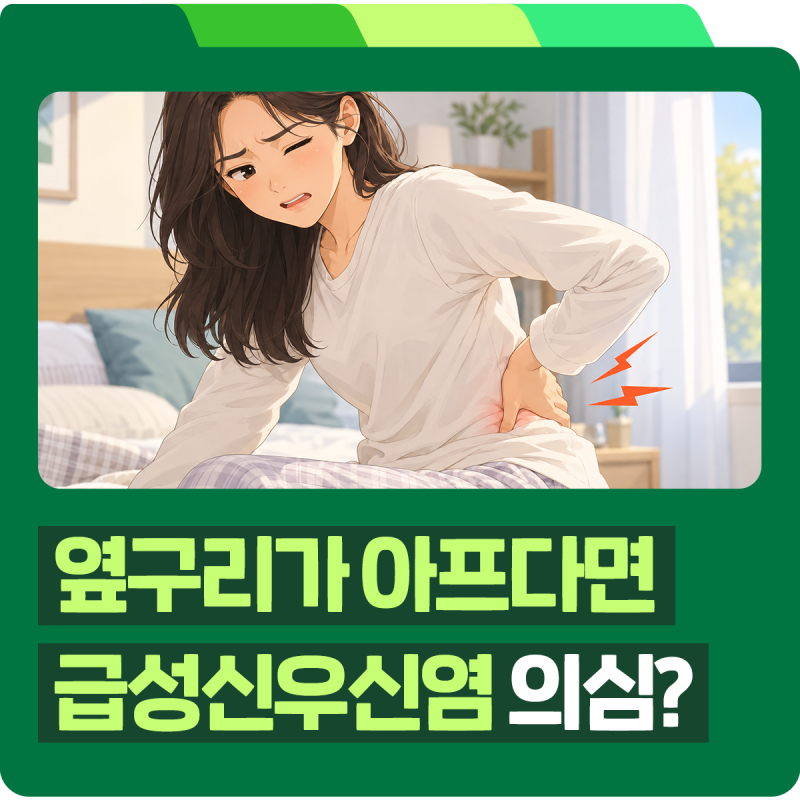 고열·옆구리 통증, 급성신우신염 증상일까? 신우염과 방광염 차이와 증상 한눈에 보기