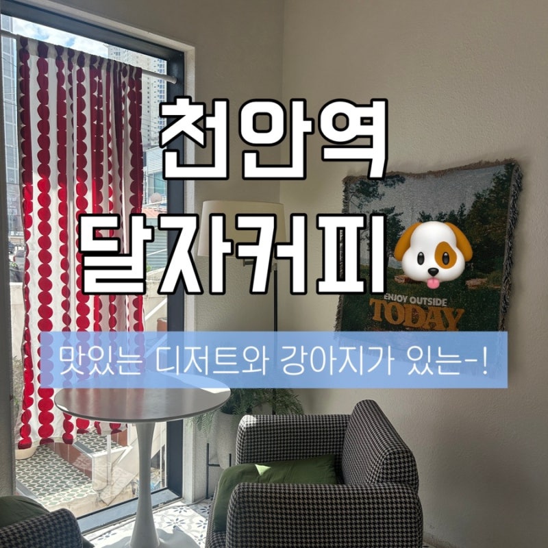 천안 당일치기 여행 추천｜주택을 개조한 감성 카페 달자커피, 포토존 가득한 천안 카페