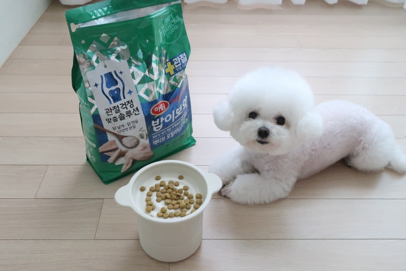 강아지 관절사료, 깽깽이로 걸어서 먹여본 하림 밥이보약