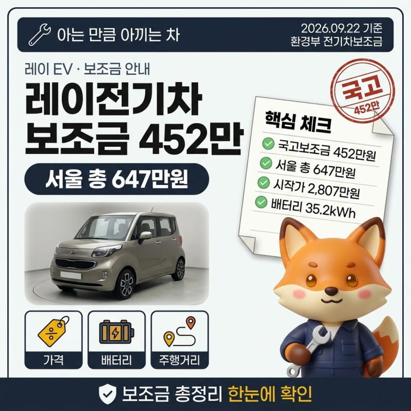 레이전기차보조금 국고 452만원, 서울 총 647만원 지급