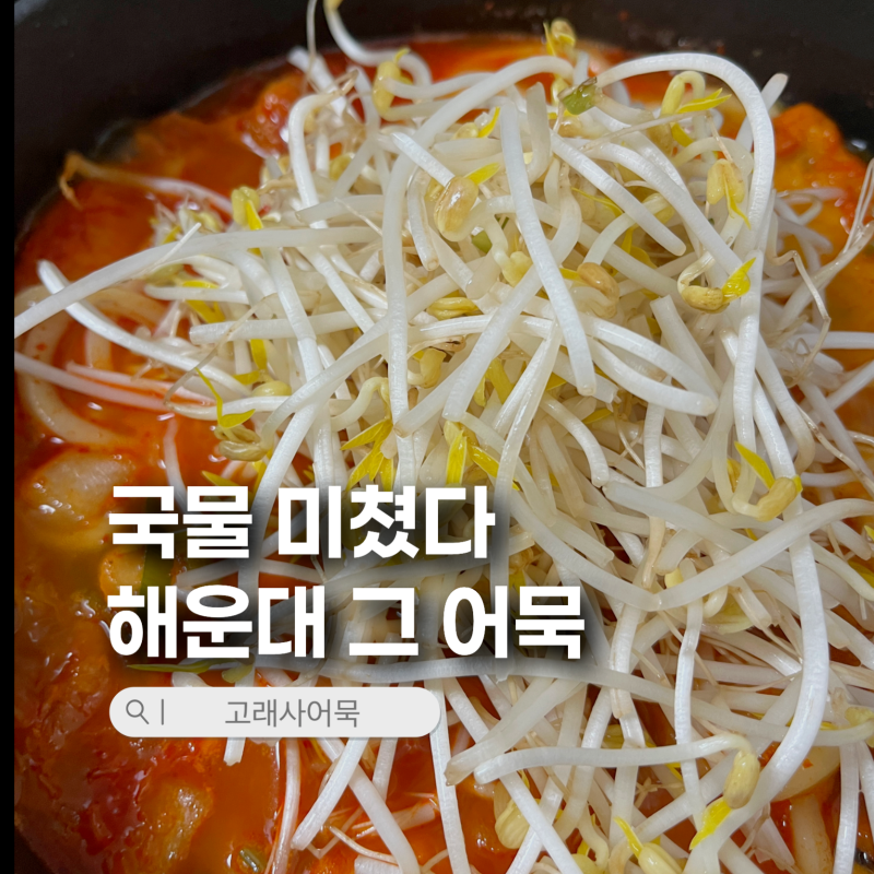 찬바람 불면 무조건 생각나는 마켓컬리 원픽 고래사 김치우동전골 솔직 후기 (+꿀조합 숙주 ....