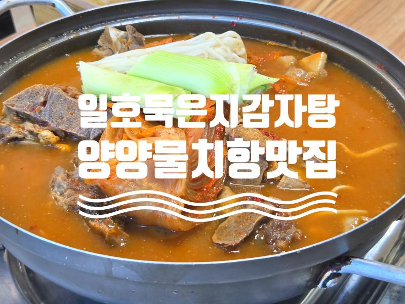 [양양] 양양밥집 고민될 때 '일호묵은지감자탕'에서 든든하게 한 끼ㅣ일호묵은지감자탕