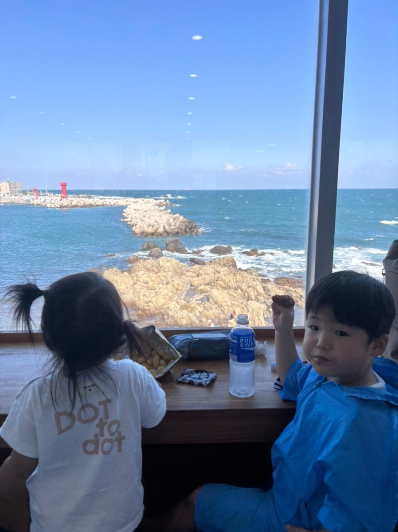 부산 기장 아이와 가볼만한곳 추천! 국립수산과학관 무료 관람 체험 꿀팁 및 방문 후기(feat. ....