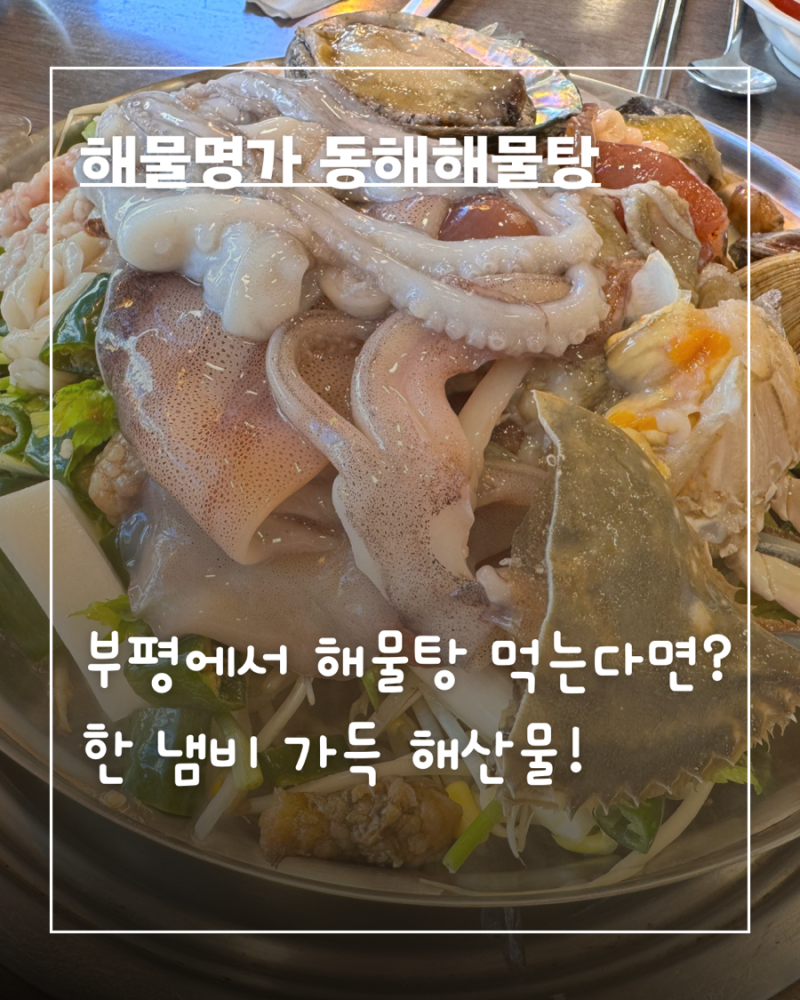 부평 해물탕 맛집, 해산물 한 냄비 가득! 해물명가 동해해물탕