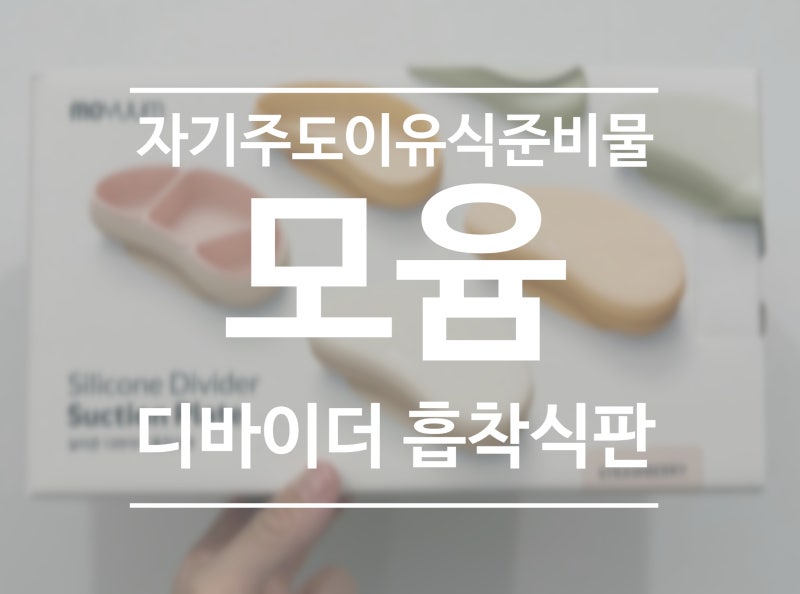 이유식 준비물 추천! 자기주도 이유식 성공을 위한 모윰 스타터 디바이더 흡착식판