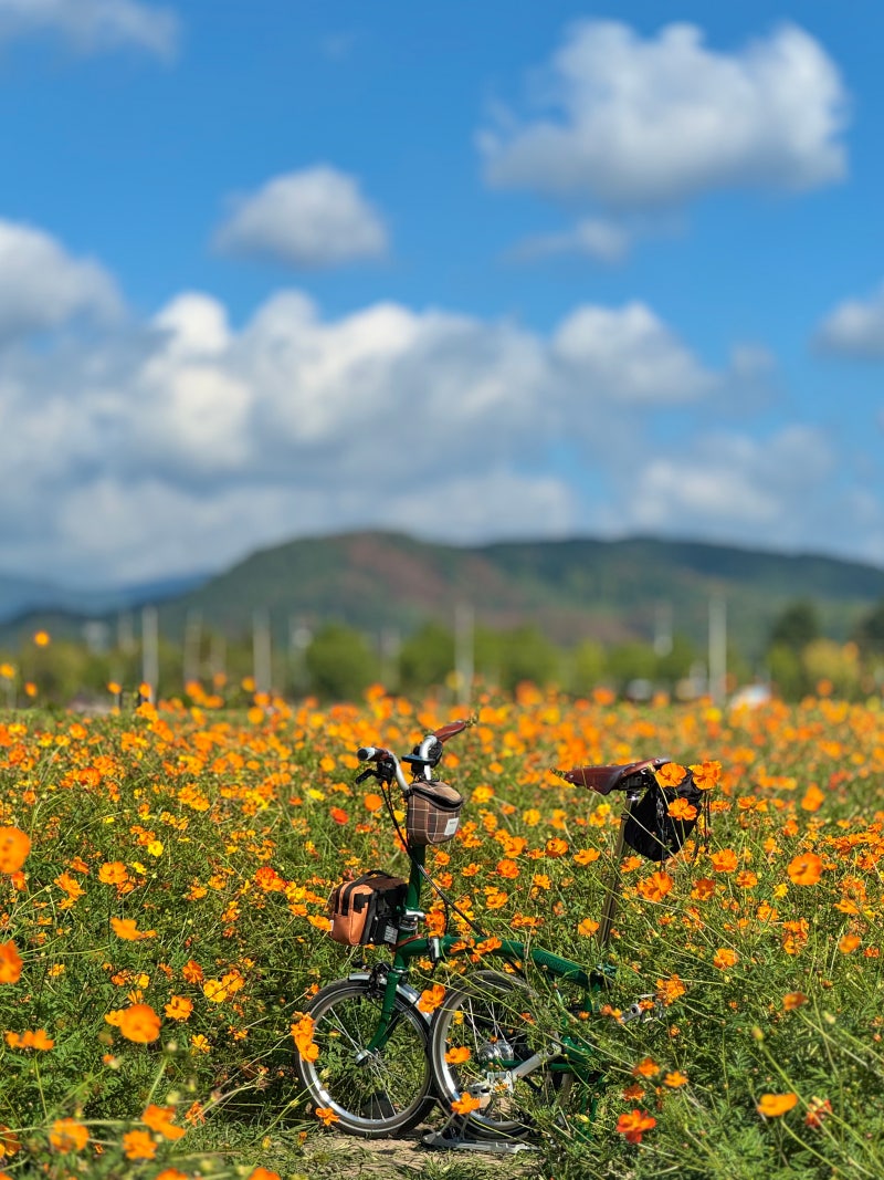 브롬톤 타고 떠나는 가을 여행 (in 경주)